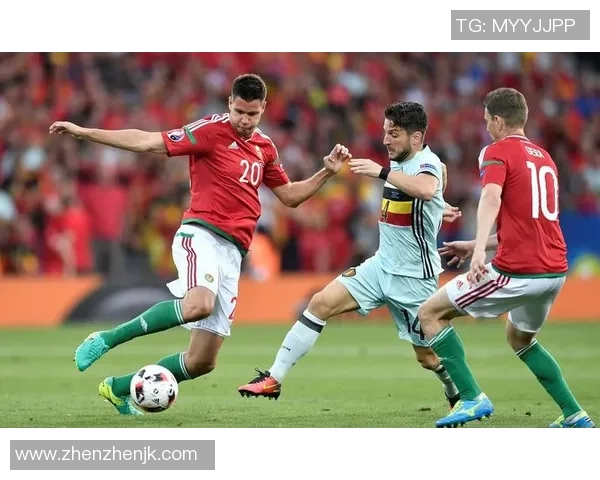 北爱尔兰与德国欧洲杯预选赛精彩对决分析与赛前展望